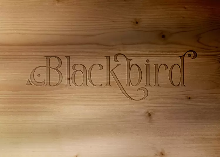 BLACK BIRD Text Effect