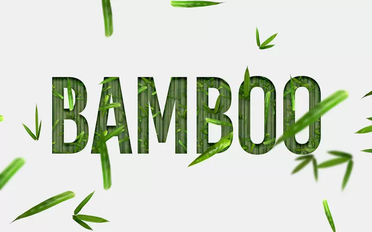 BAMBOO Text Effect