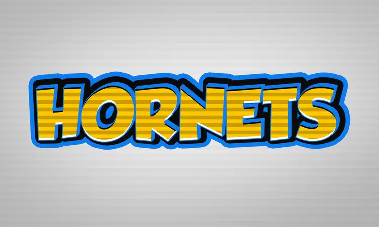 HORNETS Text Effect