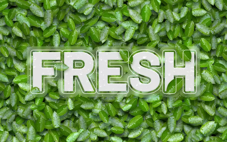 FRESH Text Effect