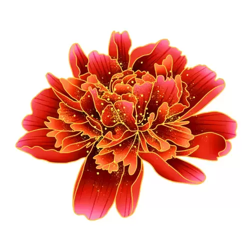 Red Peony Flower Illustration Material