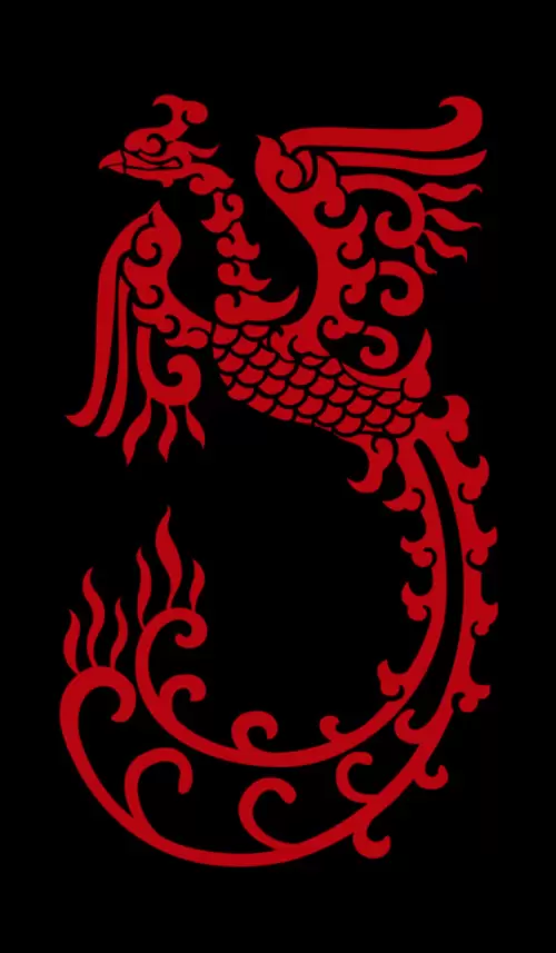 Dragon and Phoenix Pattern Illustration Material