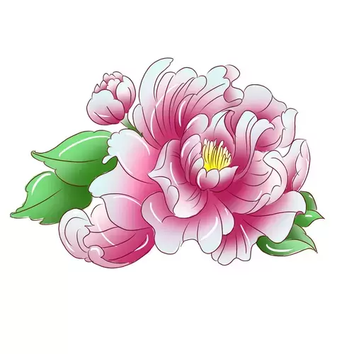 Pink peony Illustration Material