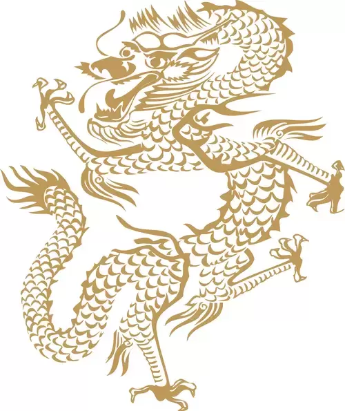 Pattern Dragon and Phoenix Illustration Material