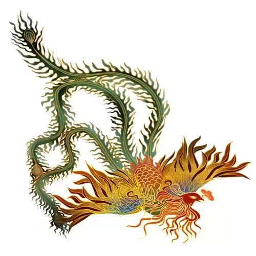 Chinese Phoenix Illustration Material