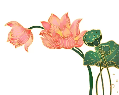 Red Lotus Illustration Material