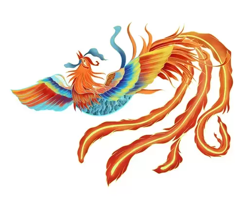 Chinese Phoenix Illustration Material