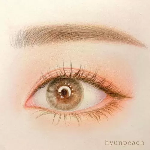 Beautiful Girl,Brown Eyes Illustration Material