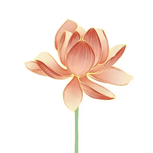 Lotus Illustration Material