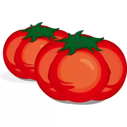 Vegetable,Tomato Illustration Material