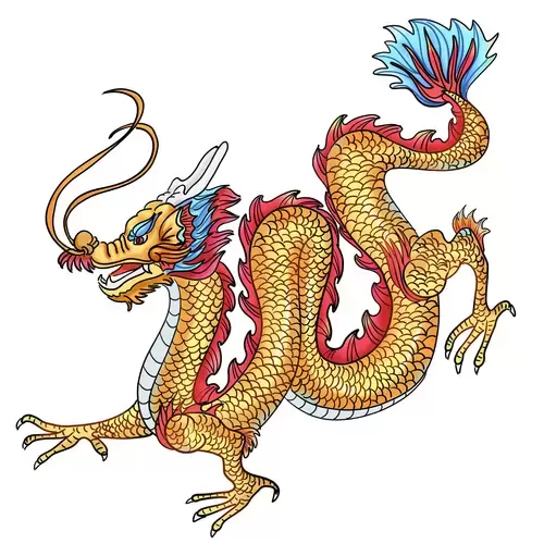 Chinese Dragon Illustration Material