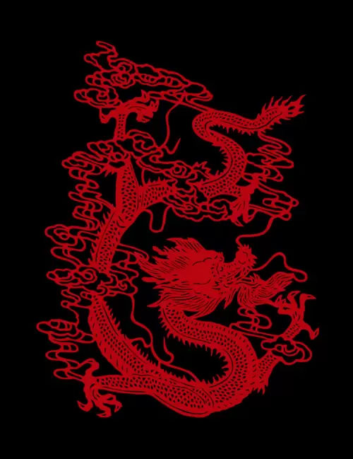 Dragon and Phoenix Pattern Illustration Material