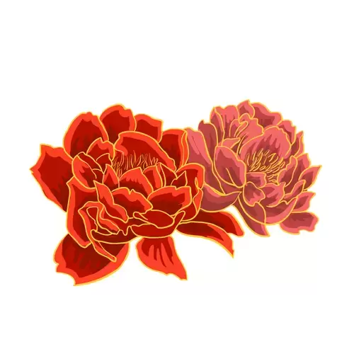 Red Peony Flower Illustration Material