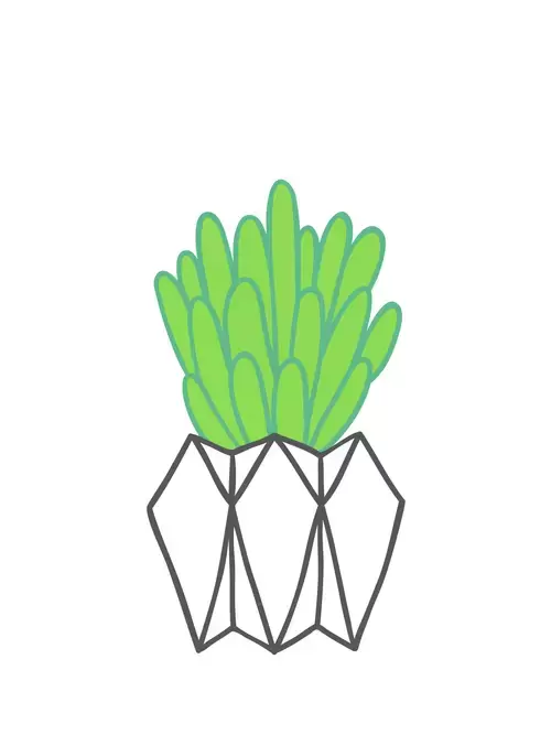 Succulents Illustration Material