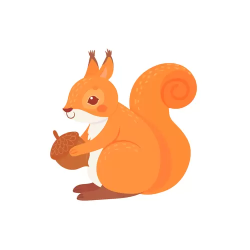 Squirrel Illustration Material