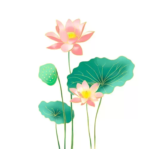 Pink Lotus Illustration Material