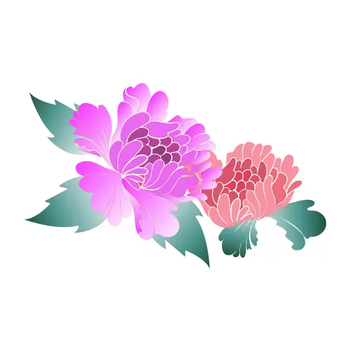 Peony Illustration Material