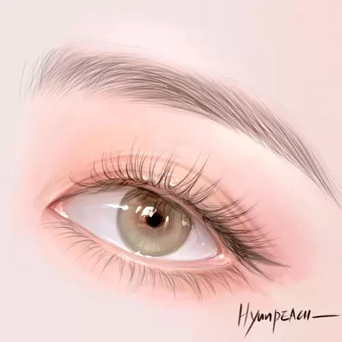 Beautiful Girl,Eyebrows Illustration Material