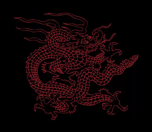 Dragon and Phoenix Pattern Illustration Material