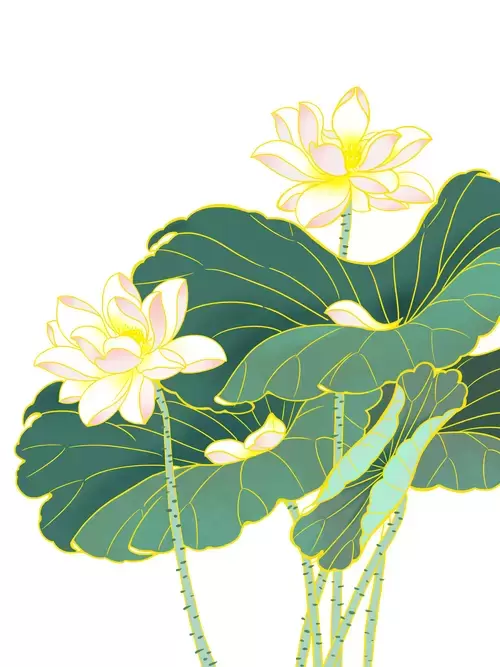 Yellow Lotus Illustration Material