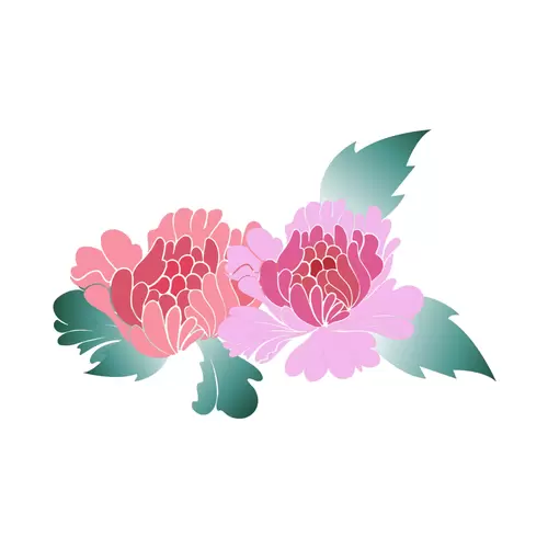 Peony Illustration Material