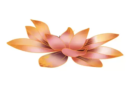 Lotus Illustration Material