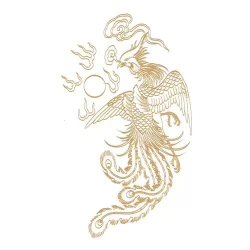 Pattern Dragon and Phoenix Illustration Material