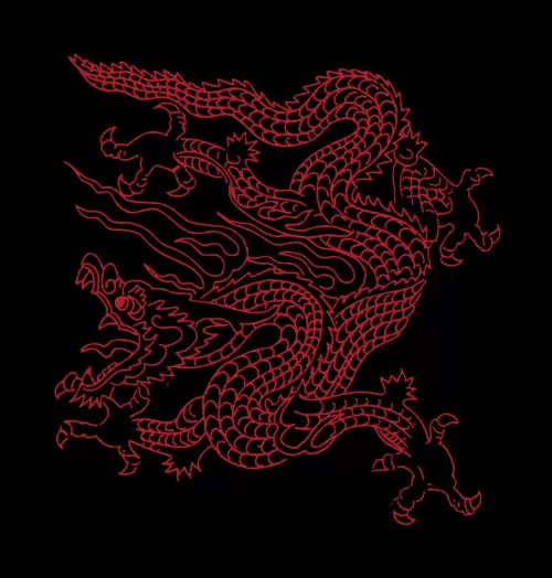 Dragon and Phoenix Pattern Illustration Material