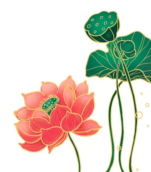 Red Lotus Illustration Material