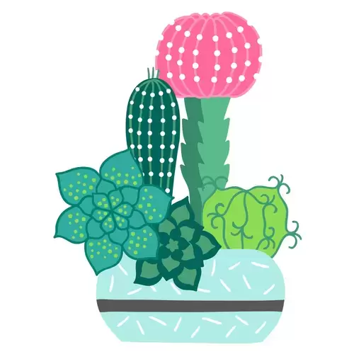Succulents Illustration Material