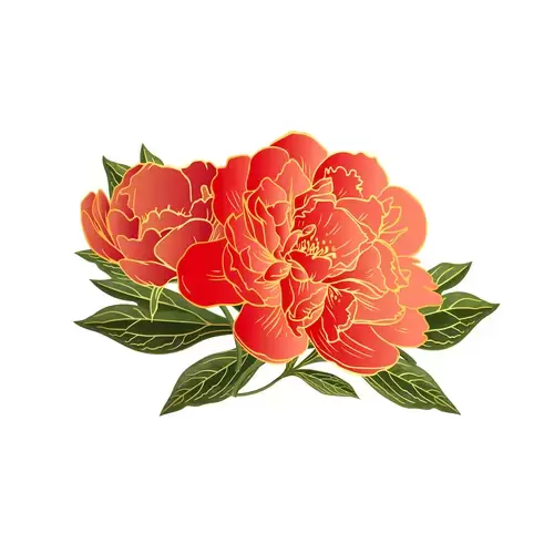 Red Peony Flower Illustration Material