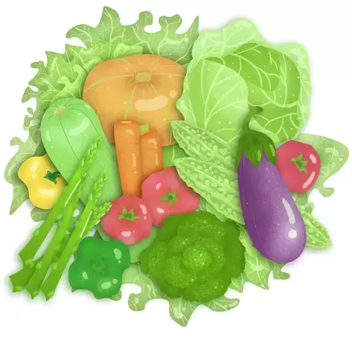 Vegetable series Illustration Material