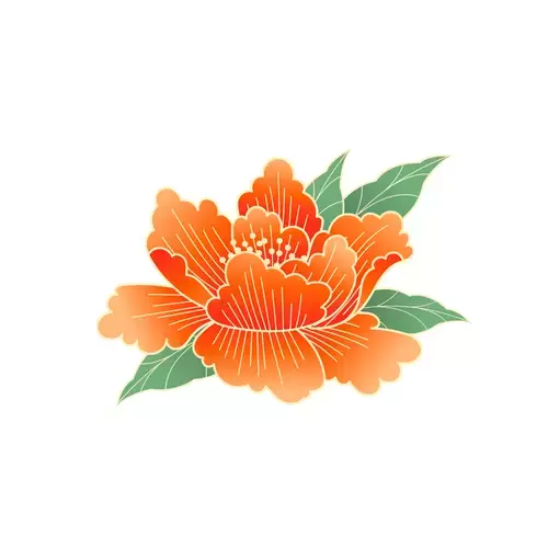 Red Peony Flower Illustration Material