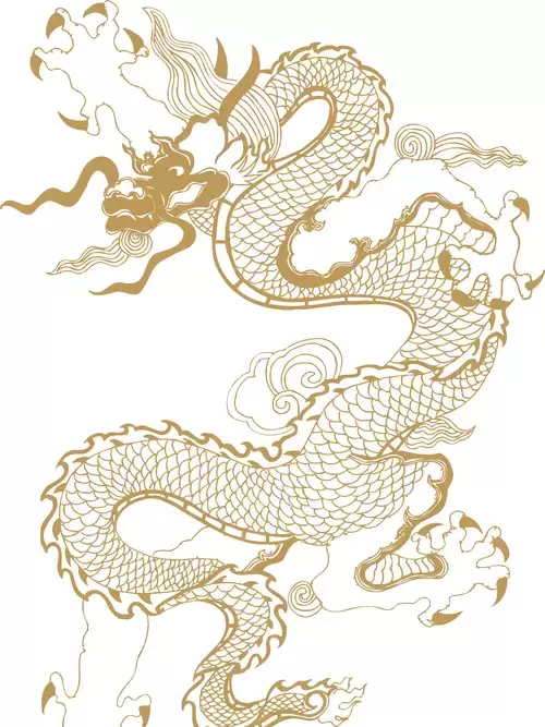 Pattern Dragon and Phoenix Illustration Material