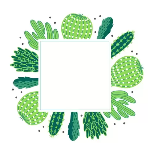 Succulents Illustration Material