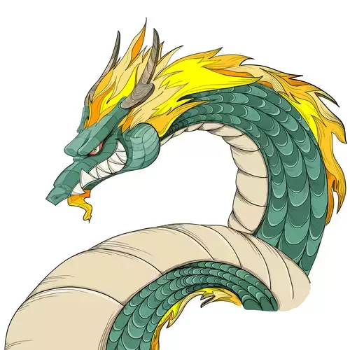 Chinese Dragon Illustration Material