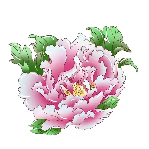 Pink peony Illustration Material