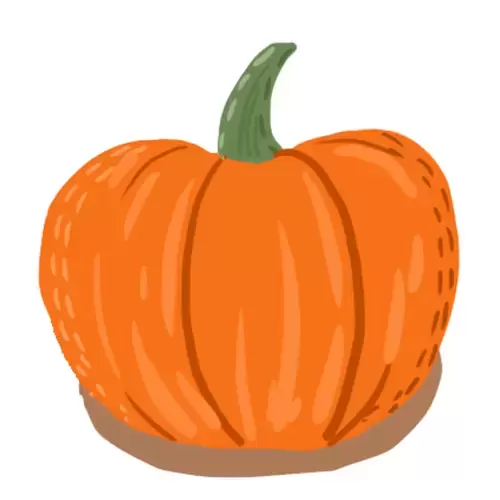 Vegetable,Pumpkin Illustration Material