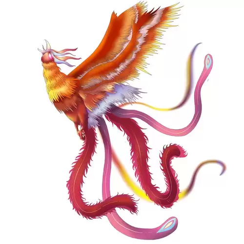 Chinese Phoenix Illustration Material