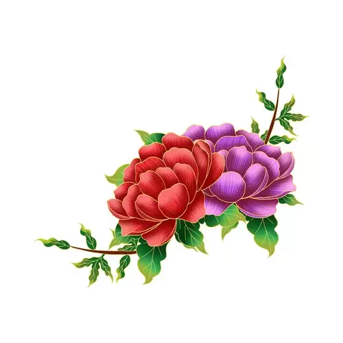 Red Peony Flower Illustration Material