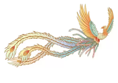 Chinese Phoenix Illustration Material