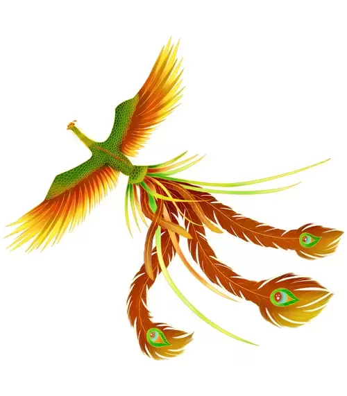 Chinese Phoenix Illustration Material