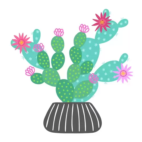 Succulents Illustration Material