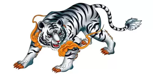 Legendary Animal,White Tiger Illustration Material