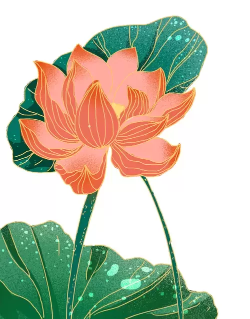 Red Lotus Illustration Material