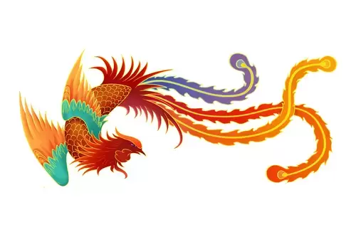 Chinese Phoenix Illustration Material