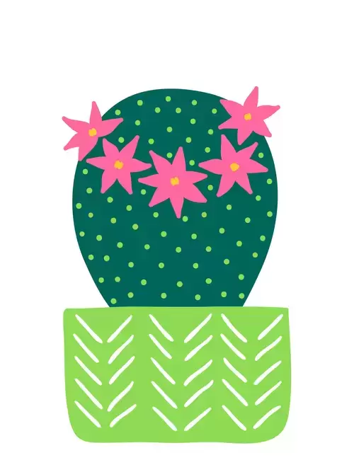 Succulents Illustration Material