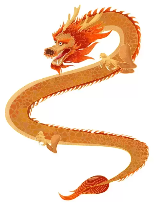 Chinese Dragon Illustration Material