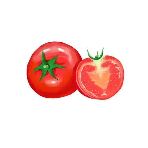 Vegetable,Tomato Illustration Material