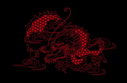 Dragon and Phoenix Pattern Illustration Material